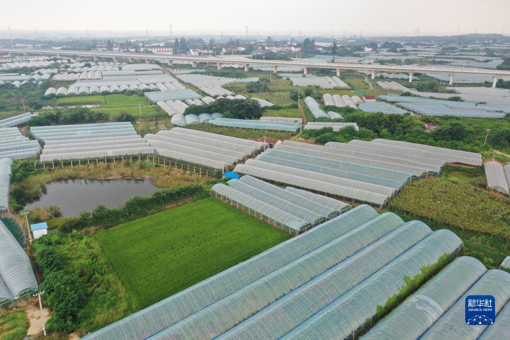 合乐888登录页面